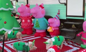 Santa's Elves Go Camping