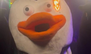 Nightclub Penguin Catches Fire