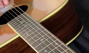 Snake Sharts To Relaxing Guitar Sounds