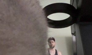 Draft Pick Cat Dunks The Ball