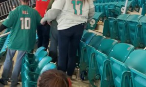 Angry Dolphins Fan Causes Collateral Damage