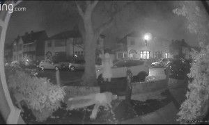 Too Much Christmas Cheer