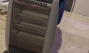 Dog Asks Owner to Turn the Heater On