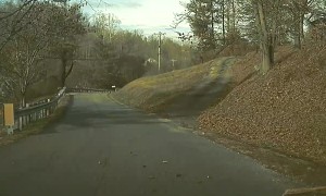 Tree Falls Right in Front of Car