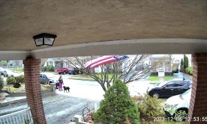 Driver Loses Control in Reverse