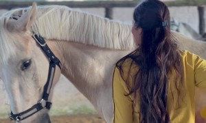 Cute Horse Giving Kisses and Hugs