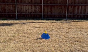 Drone Delivers Walmart Order