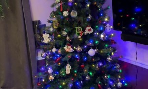 Walter's First Christmas