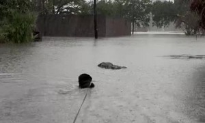 Extreme flooding in Georgetown, SC