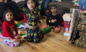 The Grinch Ruins Christmas