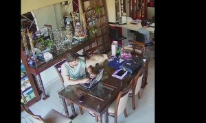 Startled Cat Shatters Glass