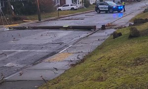 Wind Uses Trampoline As A Frisbee