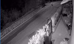 Dog Steals Trash Can