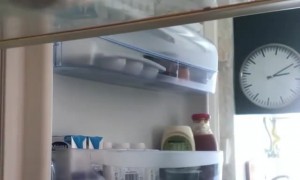 Solving The Mystery Of The Empty Plates