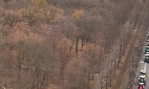 Demonstration of Farmers in Berlin