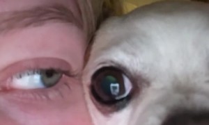 Two Halves Of A Whole