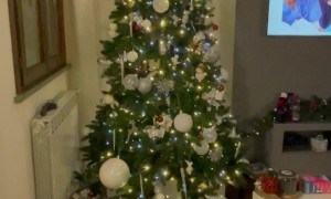 Cat Climbs Out Of Christmas Tree For Treats