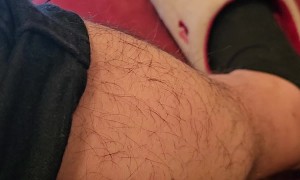 A Charley Horse In Action