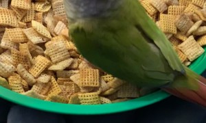 This Mix Belongs To Kiwi