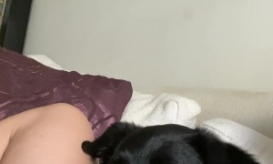 Dog's Wide Eyes Follow Bug