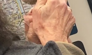 Man Takes Pet Rat on Public Transit