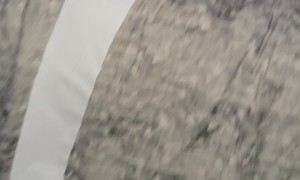 Boxer Makes a Mess With Toilet Paper