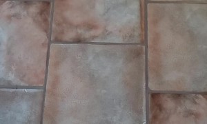 Corgi Chases After Broom