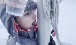 Tongue Gets Stuck To Flagpole