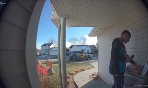 Delivery Goodies Delight Driver