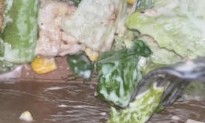 Stinkbug Found in Grocery Store Salad