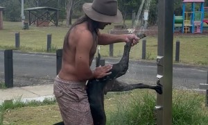Dog Gets a Shower After Trip to the Beach