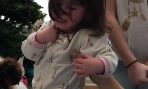Toy Horse Terrifies Toddler