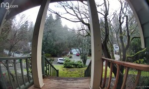 Woman Bounces Down Slippery Steps