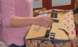 Christmas Colt Captures Mom's Heart