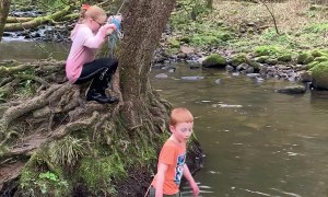 Rope Swing Fail Dunks Daughter