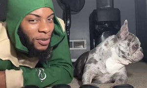 Dog Doesn't Miss Her Puppy Daddy