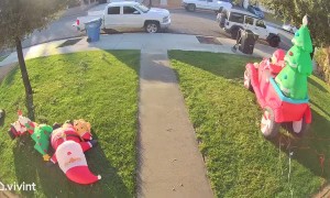 Lawnmower Destroys Christmas Decoration Cord