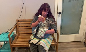 Experiencing Kangaroo Motherhood