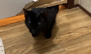 How Dare You Close The Door On Him