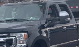 Great Pyrenees Tap Dances On Truck