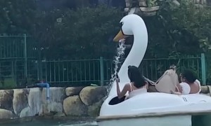 Swan Boat Makes An Unexpected Detour to Waterfall