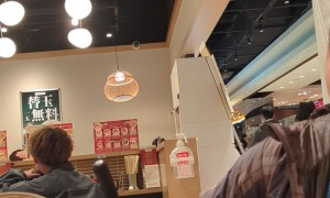 Restaurant Guests Watch Lights Swing From Ceiling During Earthquake