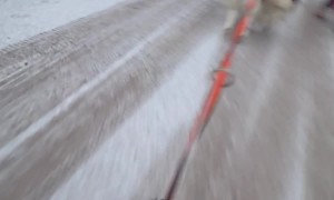 Banged Up While Bikejoring