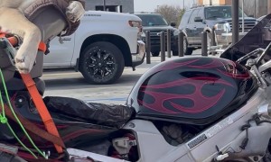 Husky Hangs Out On Motorcycle Car Seat