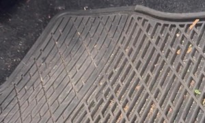 Catching The Car Mouse