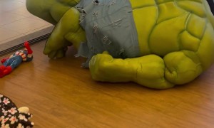 Hulk Faceplants at Party