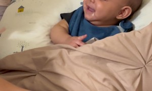 Giggly Baby Thinks Dad is Funnier