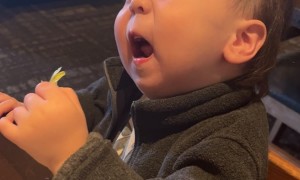 Baby Doesn't Care For Lettuce