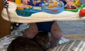 Baby Just Wants to Bounce