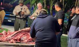 Cooking For The Cops